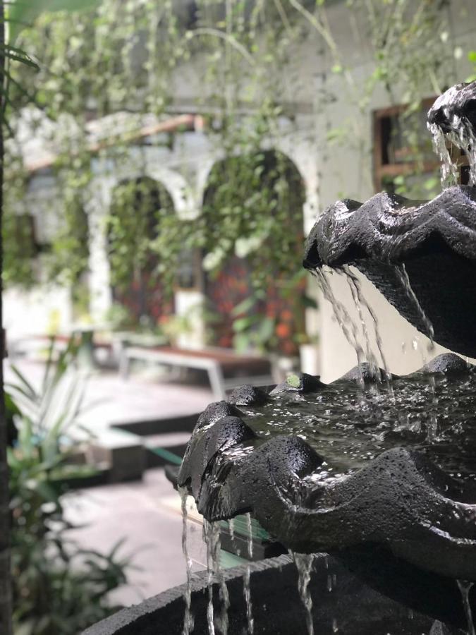 雨树精品别墅及画廊旅馆 日惹 外观 照片